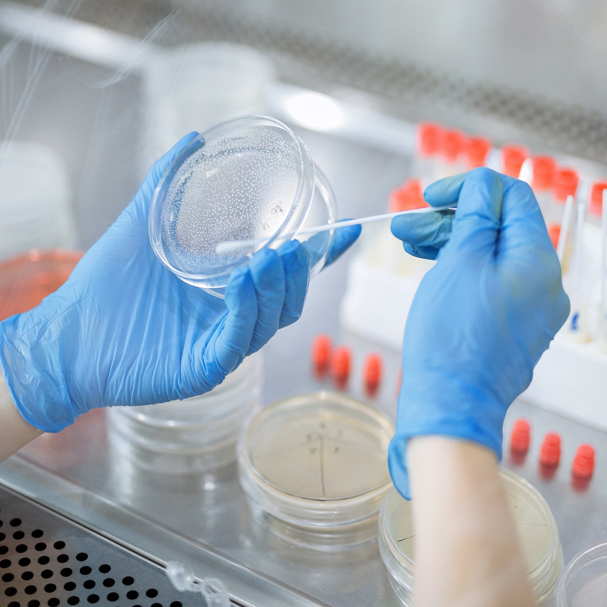 Schneider Disposable Vinyl Synthetic Exam Gloves 10x100 Case Pack - VSFB30 Blue - 4Mil - SchneiderDirect.com