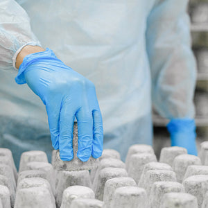 Schneider Disposable Vinyl Synthetic Exam Gloves 10x100 Case Pack - VSFB30 Blue - 4Mil - SchneiderDirect.com