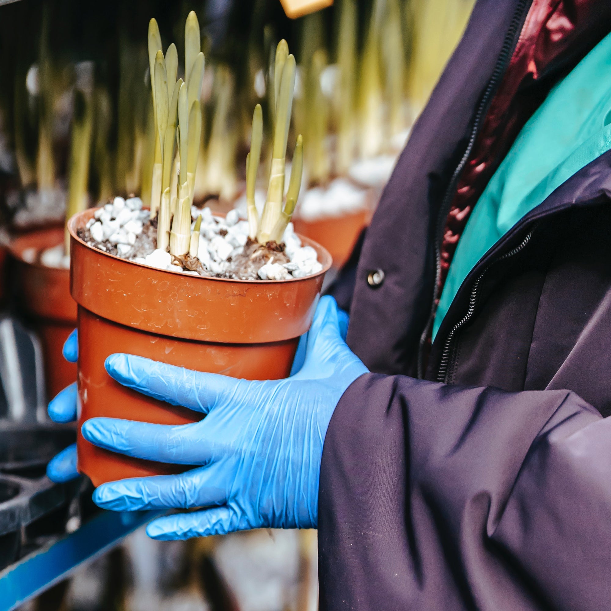 Schneider Disposable Vinyl Synthetic Exam Gloves 10x100 Case Pack - VSFB30 Blue - 4Mil - SchneiderDirect.com